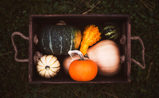 Essential Fall Gardening Tasks: Preparing Your Garden for Winter
