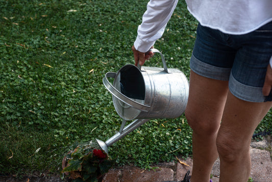 Urban, Suburban, and Rural: How to Grow Your Own Food No Matter Where You Live