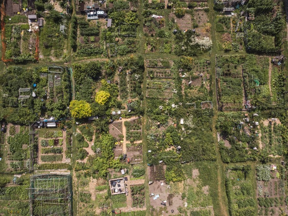 The Benefits of Self-Sufficiency: How Home Gardening Can Help You Weather Agricultural Instability