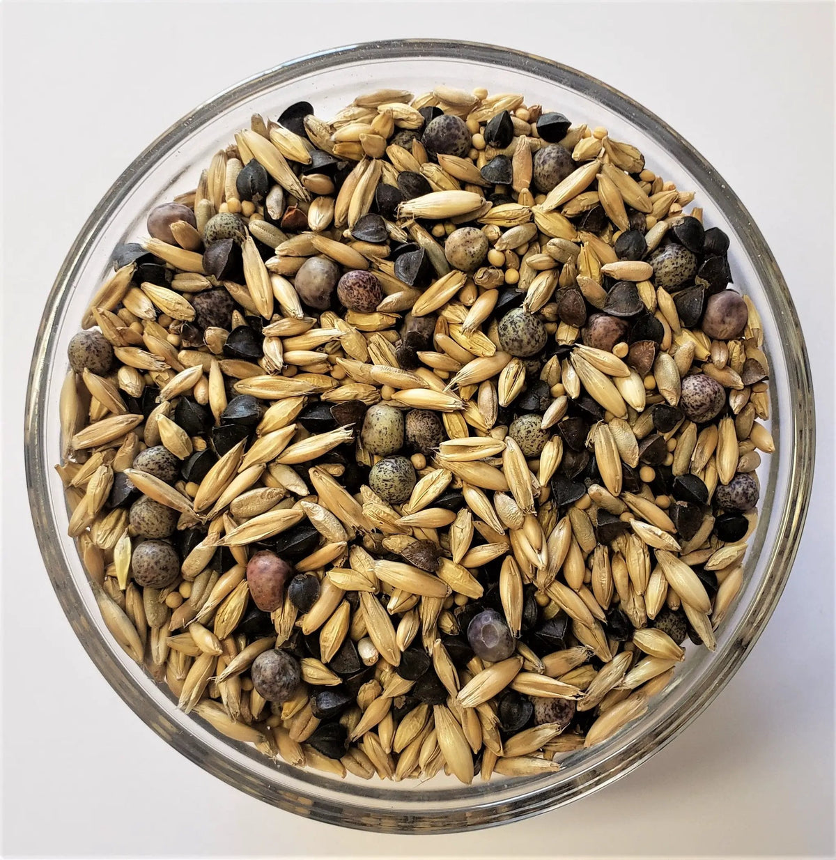 Elite cover crop seed mix in a storage jar