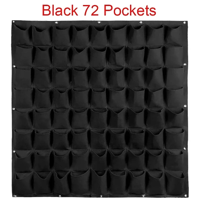variants24
