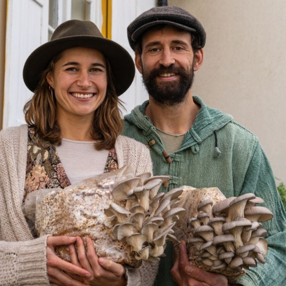Mushroom Grow Kit 3-Pack — Lion's Mane, Pink & Blue Oyster