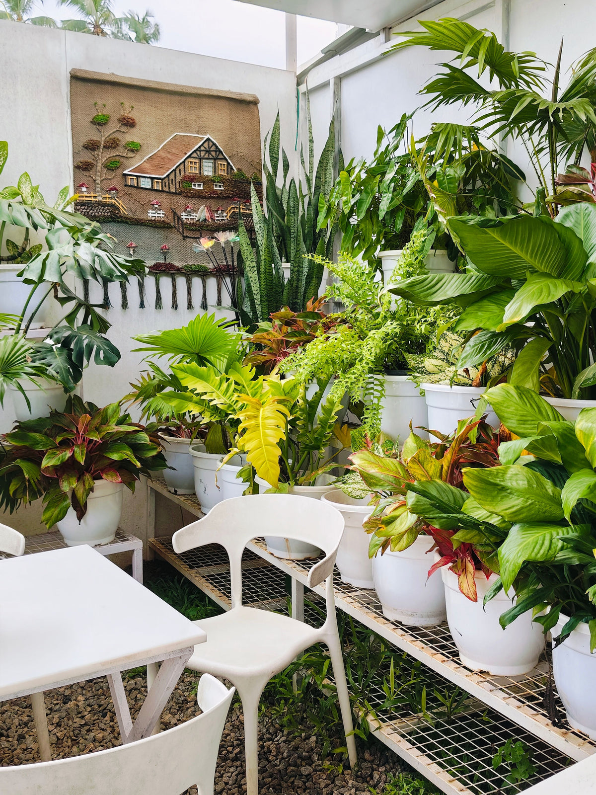 The Glasshouse