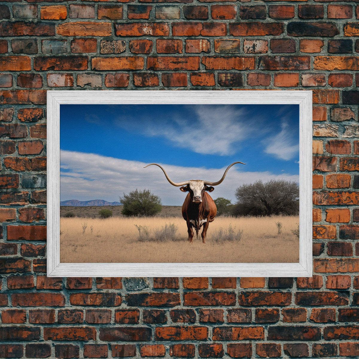 Longhorn cow canvas print, Texas longhorn art, Longhorn canvas print, Farmhouse decor, Rustic wall art, Longhorn wall decor