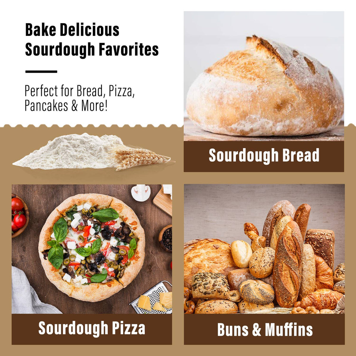 Original Sourdough Starter Culture — Freeze-Dried Organic, 12g