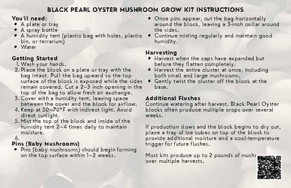Black Pearl Oyster Mushroom Grow Kit