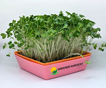 Mini Harvest Kit