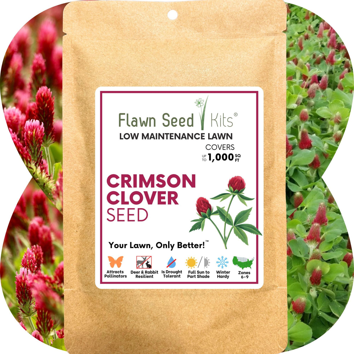 Crimson Clover Seed