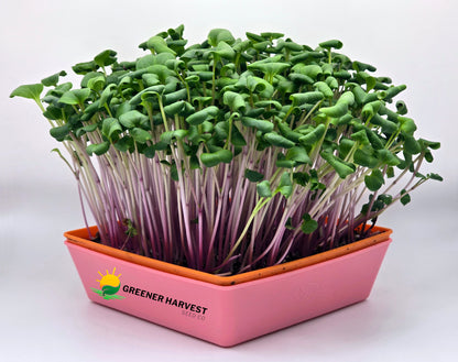 Mini Harvest Kit