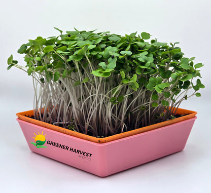 Mini Harvest Kit