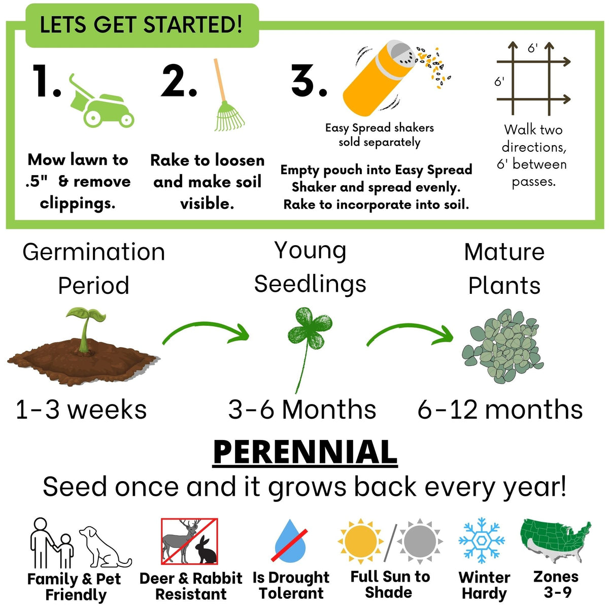 Micro Clover Seed