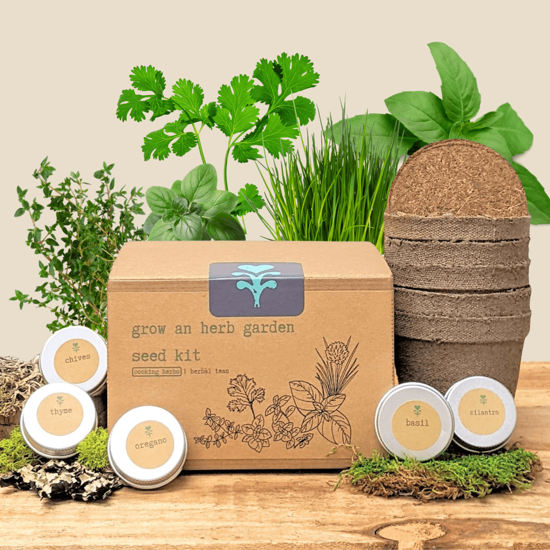 Grow an Herb Garden cooking herbs seed kit