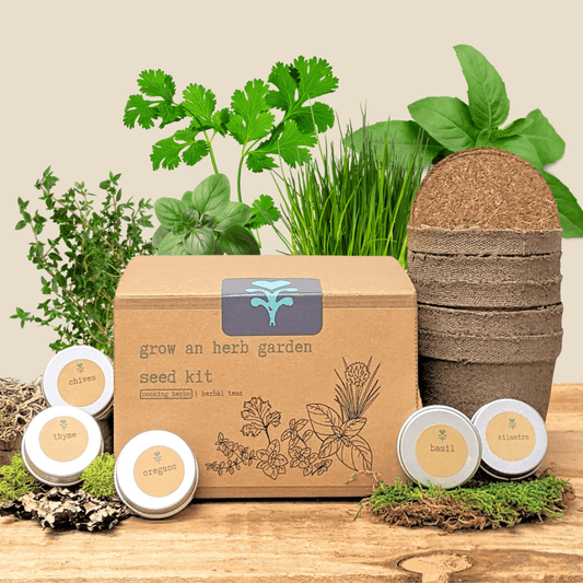 Grow an Herb Garden cooking herbs seed kit