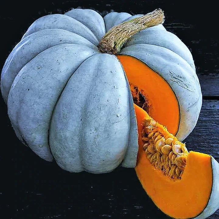 Jarrahdale Blue Pumpkin Seeds - Heirloom Cucurbita maxima for Fall Planting, Blue-Grey Winter Squash Seeds, 10 Pack