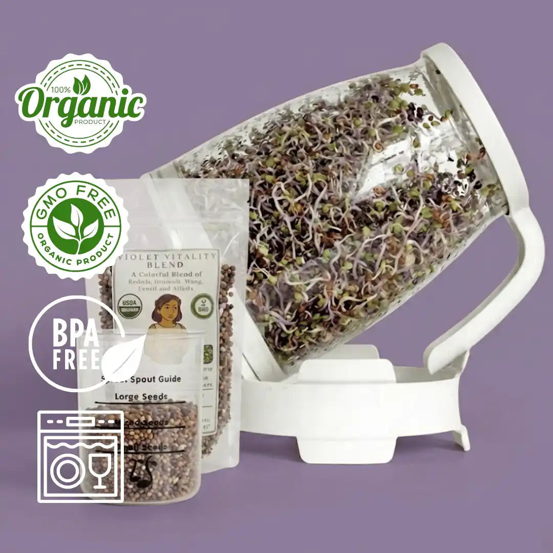 Sprout Spout sprouting kit with jar lid, seed blend and scoop