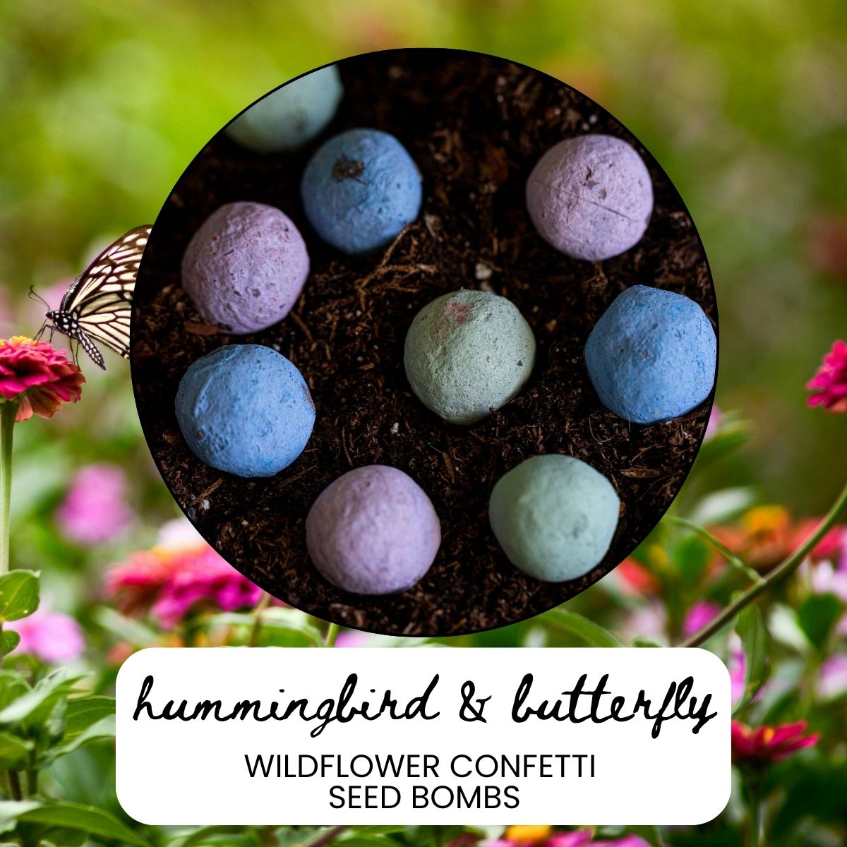 Pollinator wildflower confetti seed balls for hummingbirds and butterflies