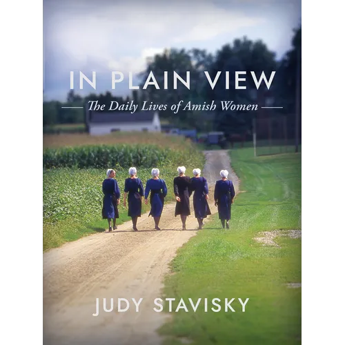 Cover of In Plain View, The Daily Lives of Amish Women